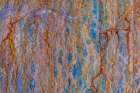 USA, Washington State, Fort Flagler Historical State Park. Paint and rust patterns on WW I bunker. Art Print
